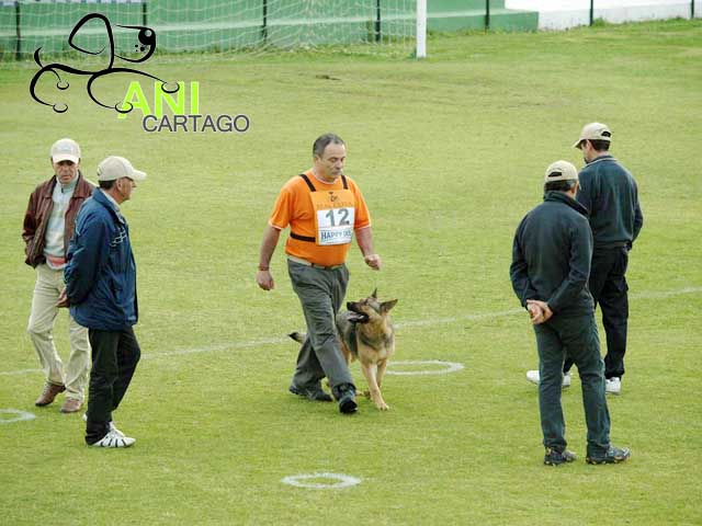 Grupo deportivo anicartago