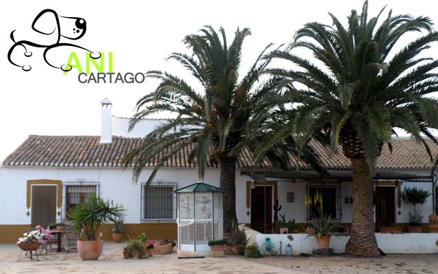 Residencia canina anicartago