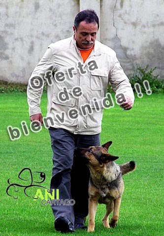 Oferta de adiestramiento Oferta de adiestramiento