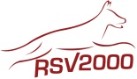 logo rsv2000